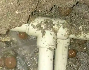 巴青测漏水多少钱