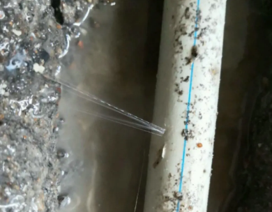 巴青测漏水哪家好