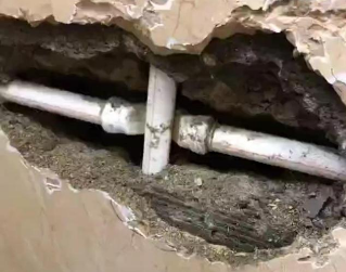 巴青测漏水哪家好