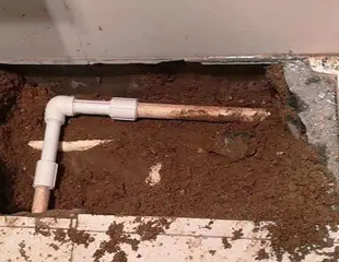 巴青测漏水哪家好