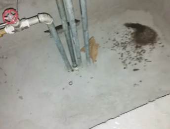 巴青卫生间测漏水价格明细