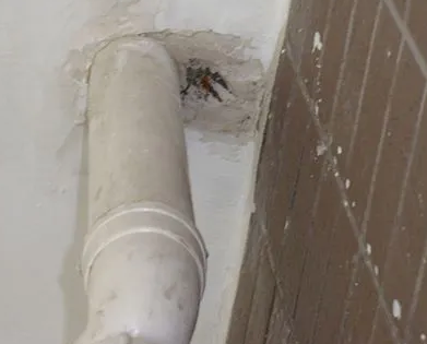 巴青漏水检测哪家好